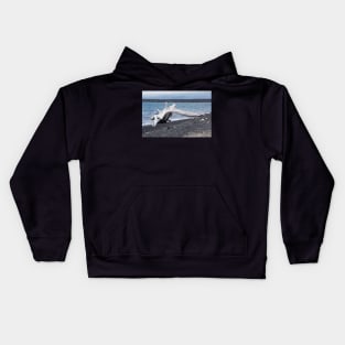 driftwood Kids Hoodie